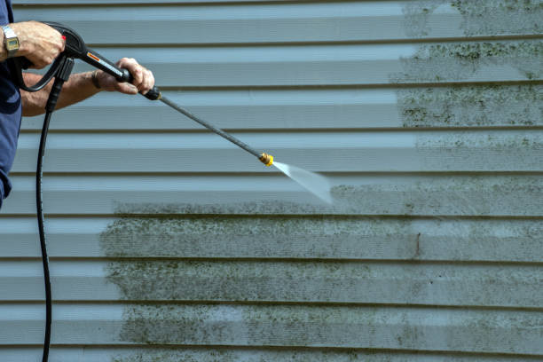 Best Solar Panel Cleaning  in Island Park, NY