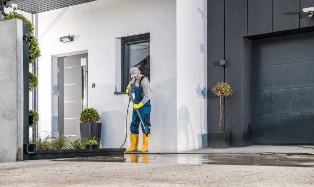 Best Paint Preparation  in Island Park, NY